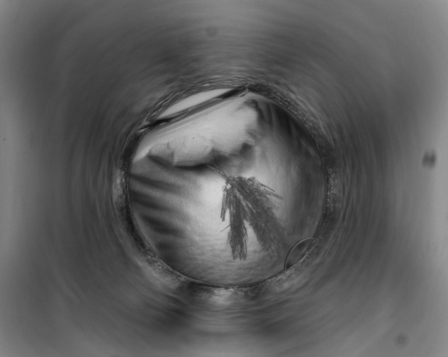 X0000099450130200805301521