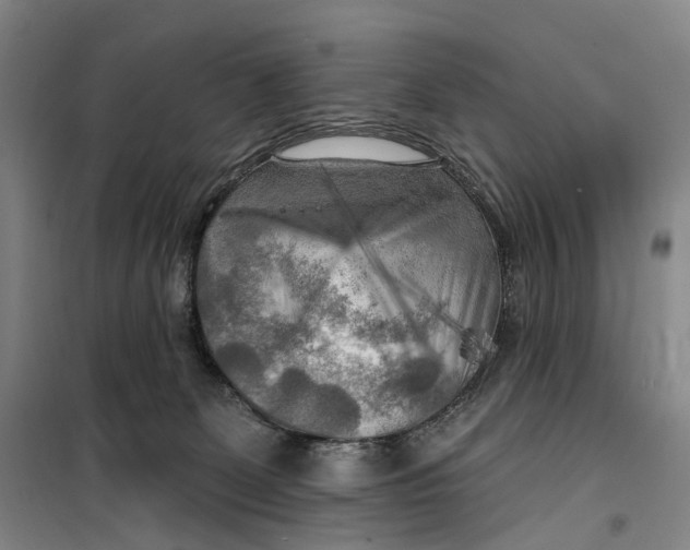 X0000099450131200805301521