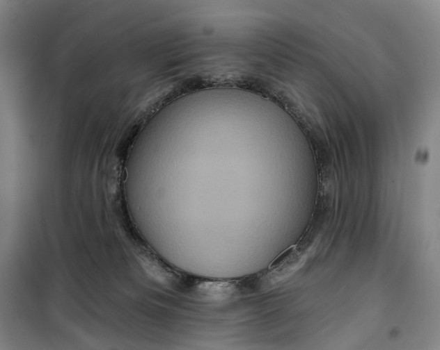 X0000099450133200805301521