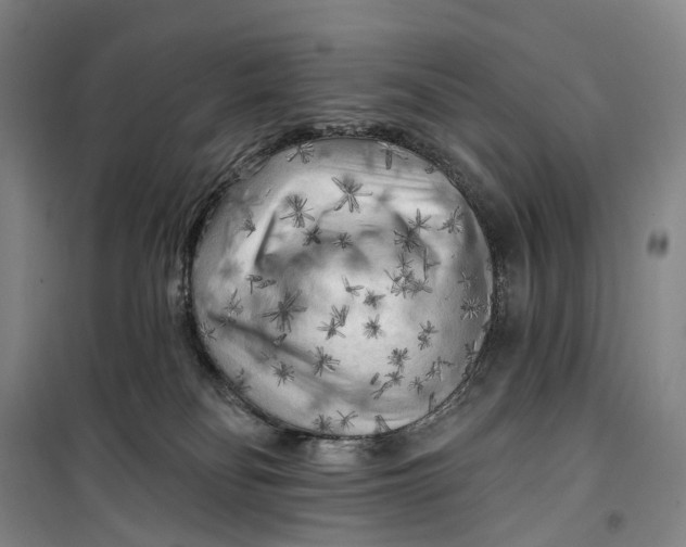 X0000099450134200805301521