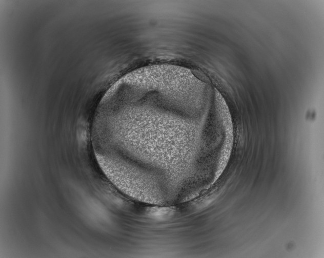 X0000099450135200805301521