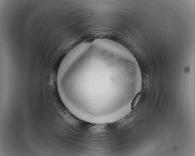 X0000099450138200805301521