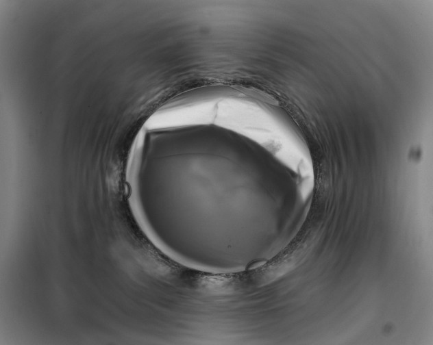 X0000099450139200805301521