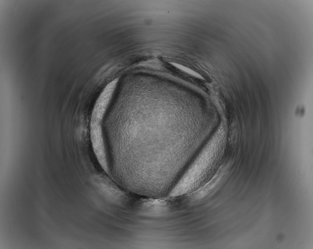 X0000099450140200805301521