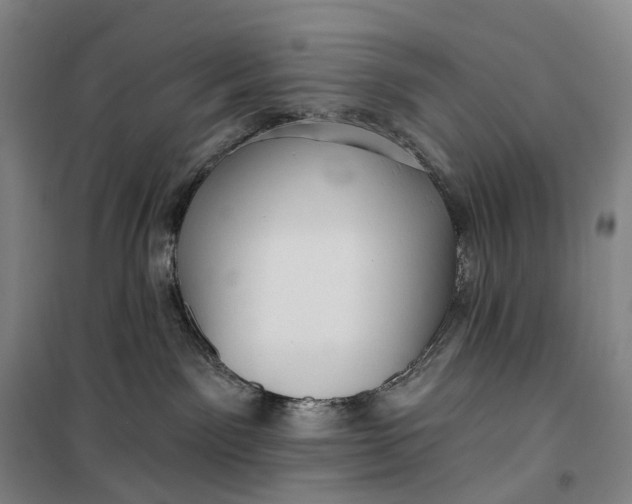 X0000099450141200805301521