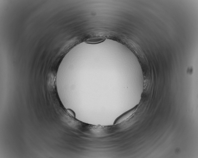 X0000099450142200805301521