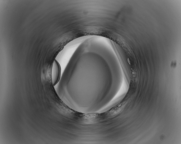 X0000099450143200805301521