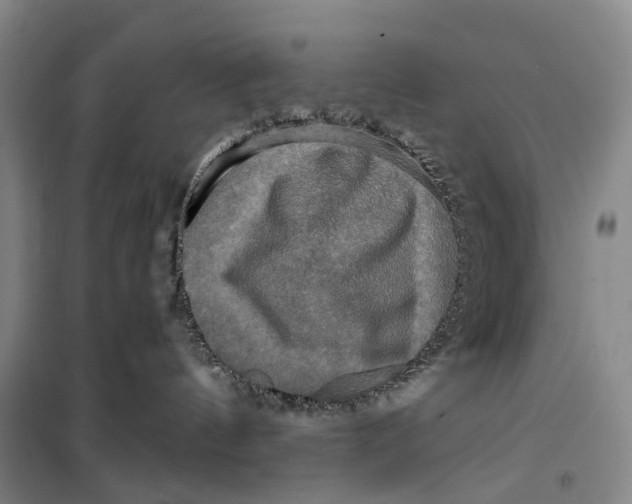 X0000099450144200805301521