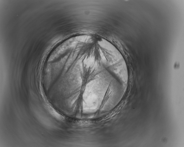 X0000099450145200805301520