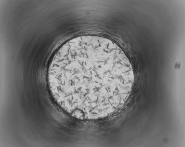 X0000099450146200805301520