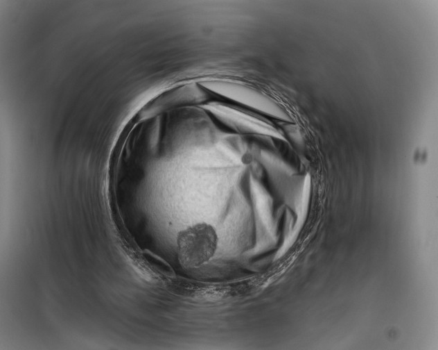 X0000099450148200805301520