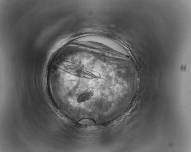 X0000099450149200805301520