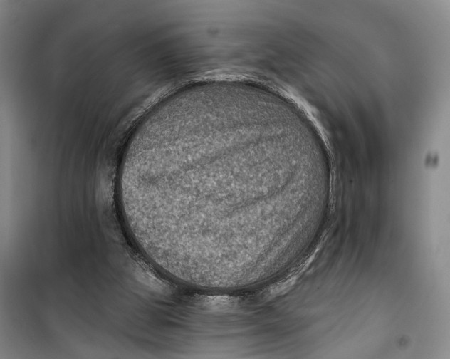 X0000099450153200805301520