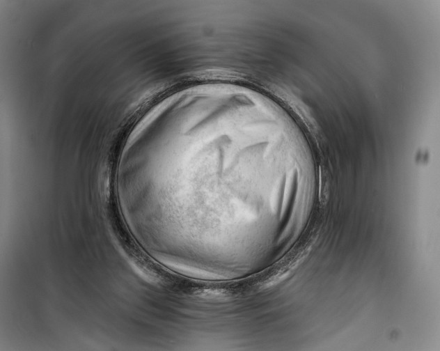 X0000099450157200805301520