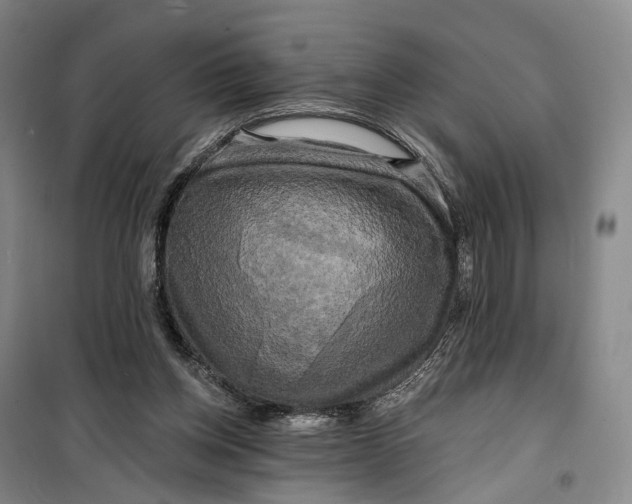 X0000099450158200805301520