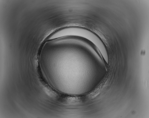 X0000099450160200805301520