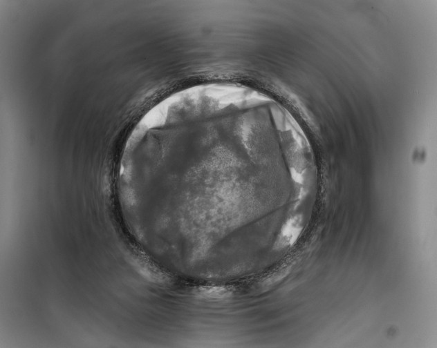 X0000099450161200805301520