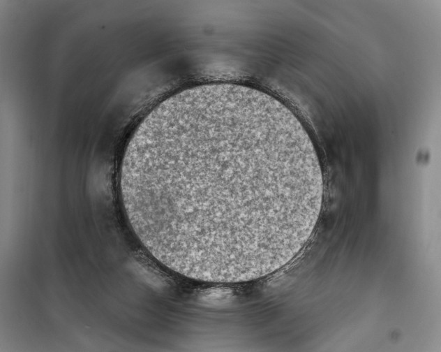 X0000099450162200805301520