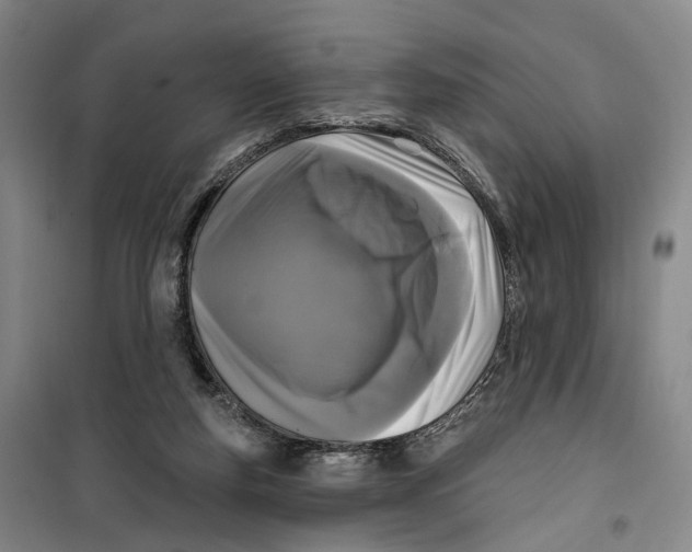 X0000099450163200805301520