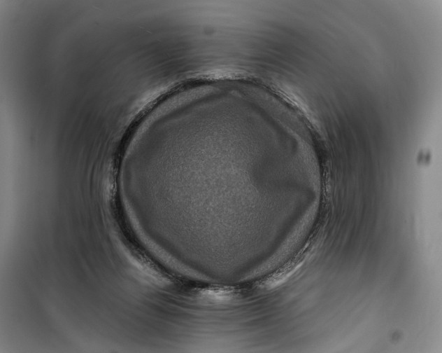 X0000099450164200805301520