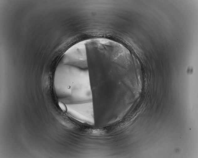 X0000099450165200805301520