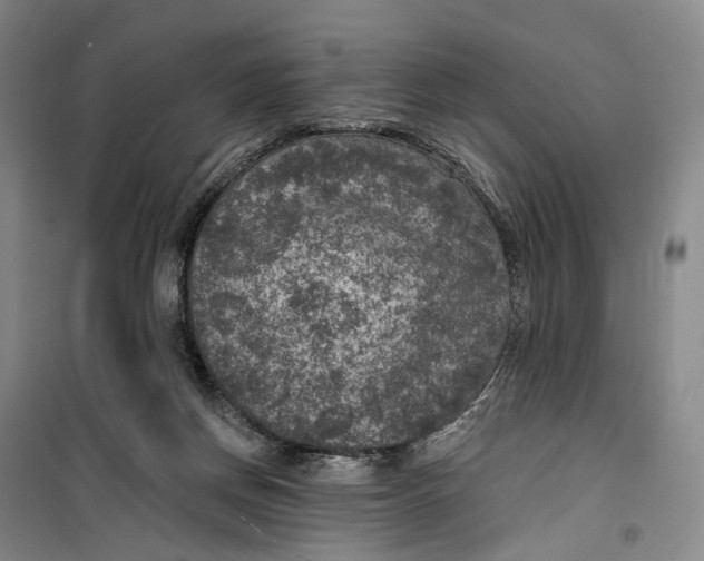 X0000099450166200805301520