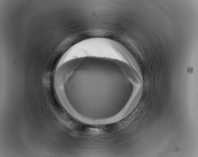 X0000099450167200805301520