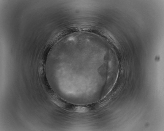 X0000099450169200805301520