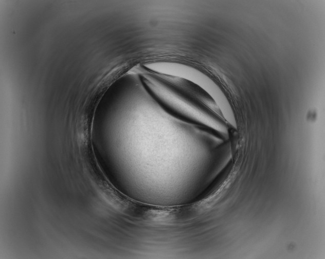 X0000099450170200805301520