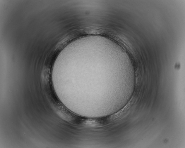 X0000099450171200805301520