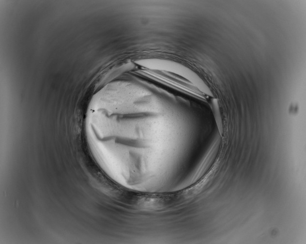 X0000099450174200805301520