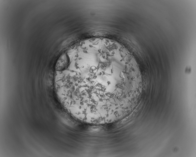 X0000099450175200805301520