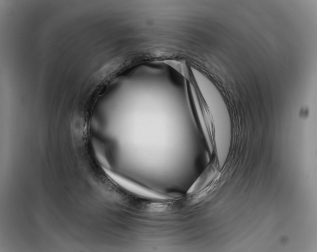 X0000099450176200805301520