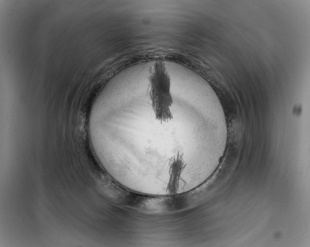 X0000099450178200805301520