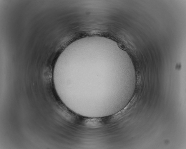 X0000099450179200805301520