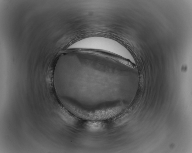 X0000099450181200805301520