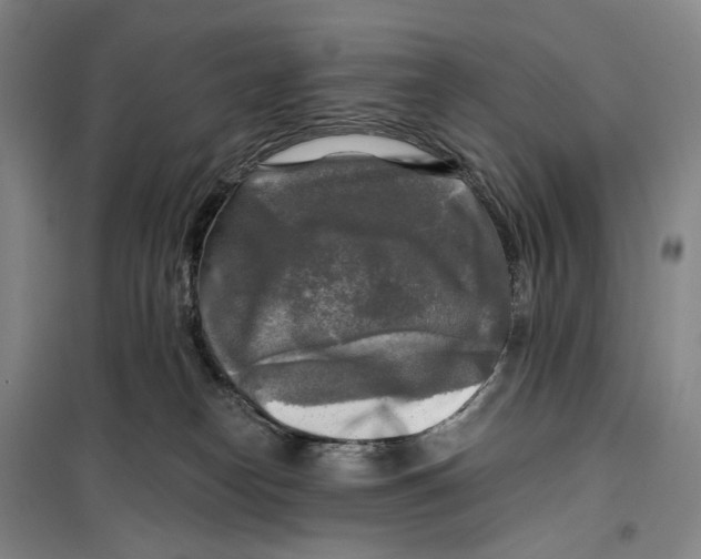 X0000099450182200805301520