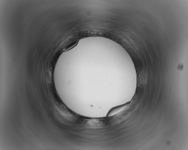 X0000099450183200805301520