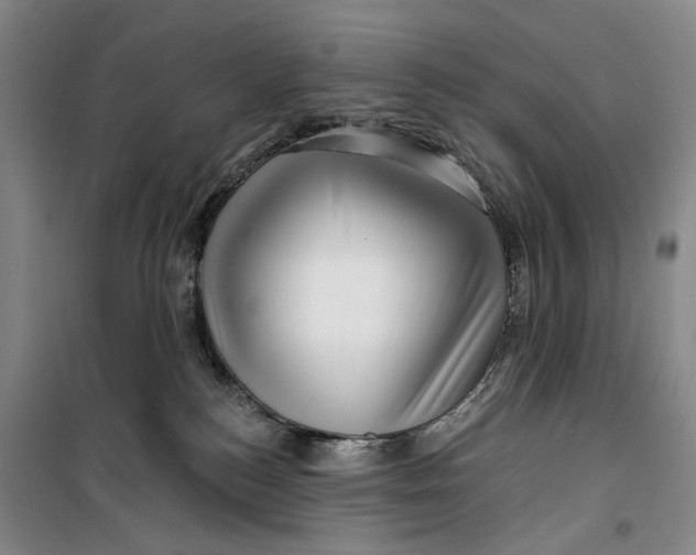 X0000099450184200805301521