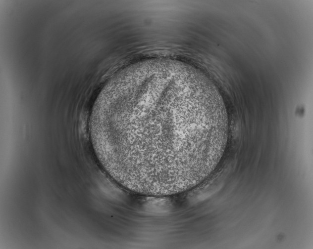 X0000099450185200805301521