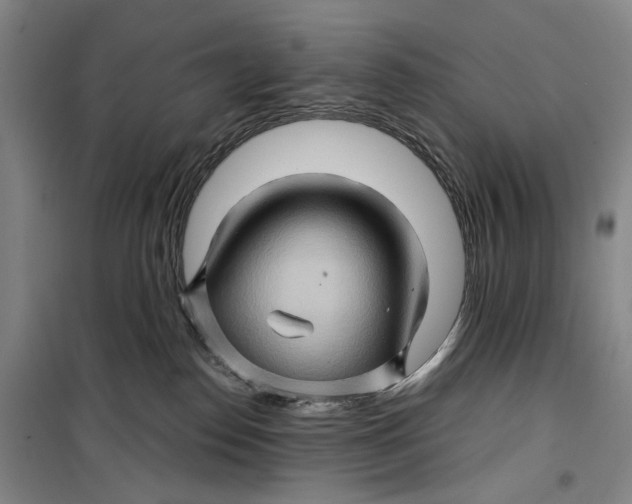 X0000099450186200805301521