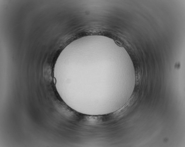 X0000099450187200805301521