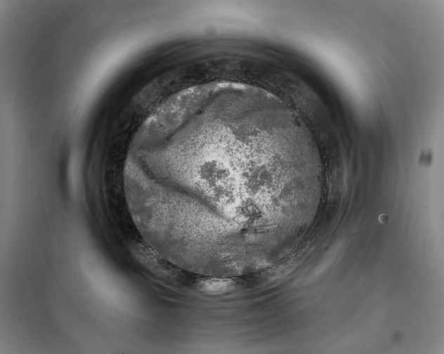 X0000099450189200805301521