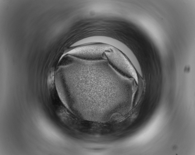 X0000099450190200805301521