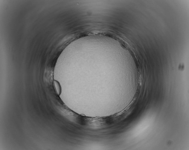 X0000099450191200805301521