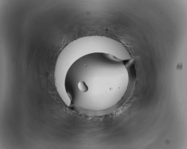 X0000099450192200805301521