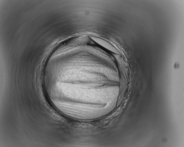 X0000099450193200805301520