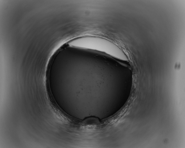 X0000099450196200805301520