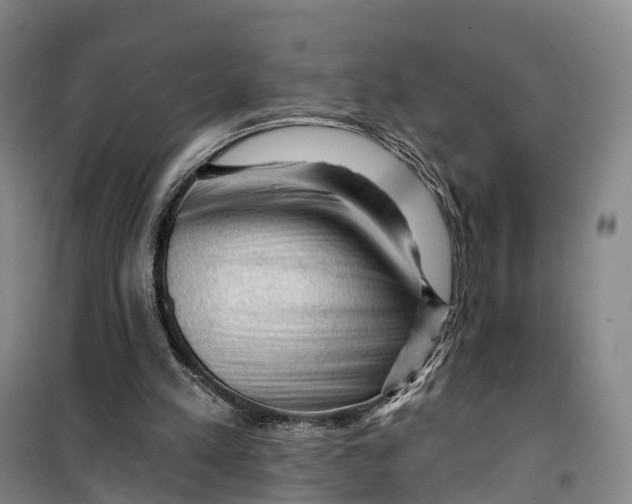 X0000099450197200805301520