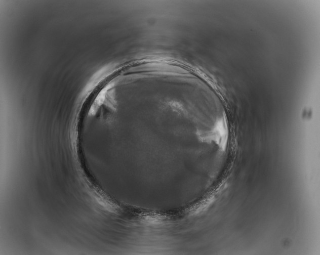 X0000099450199200805301520